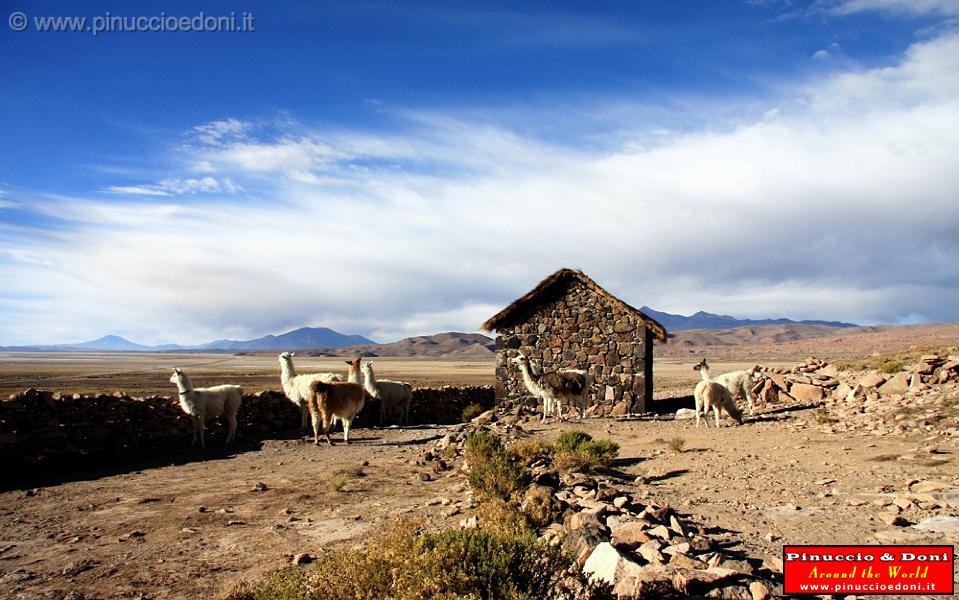 BOLIVIA 2 - San Pedro Quemez - Corral - 1.jpg